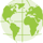 Global workforce program icon